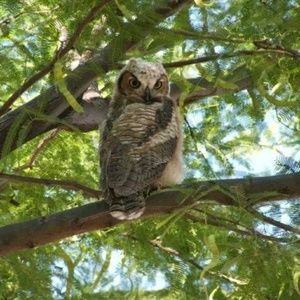 Meet your Posher, Lori